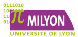 Laboratoire d’Excellence “Mathématiques et Informatique à Lyon” MILYON